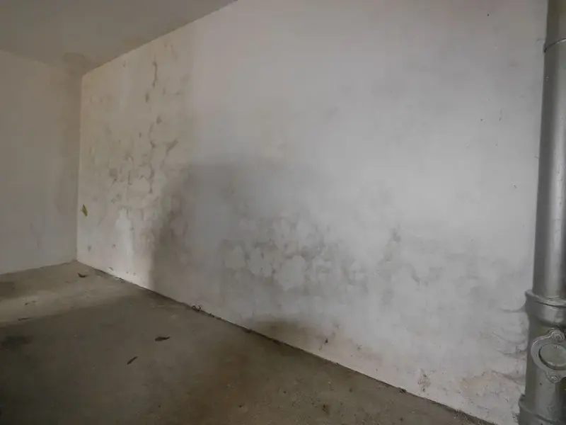 Vochtige kelderwand met donkere plekken onderaan