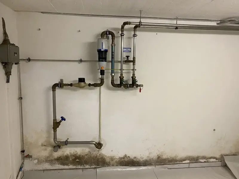 Vochtige kelderwand met schimmelplekken